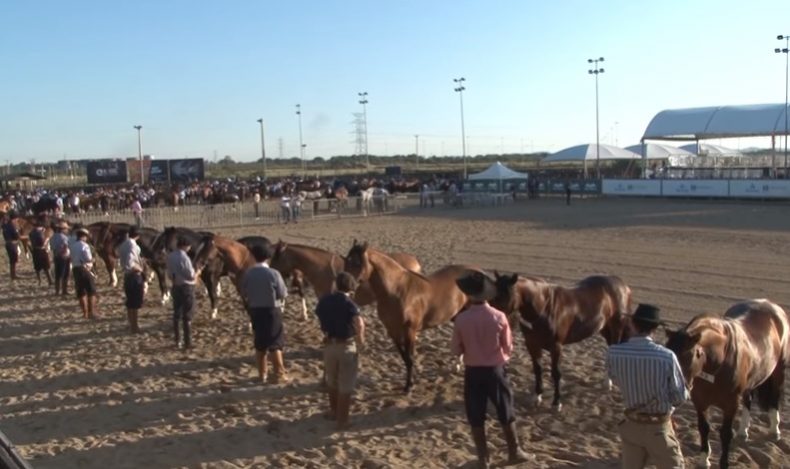 Programa Cavalo Crioulo sem Fronteiras do dia 20 de julho