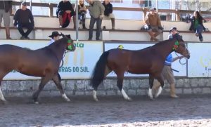 Programa Cavalo Crioulo sem Fronteiras do dia 27 de julho