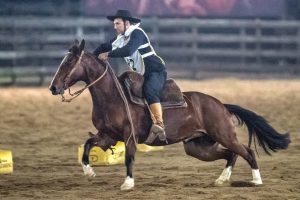 Marcos Silveira venceu a Prova Um Ano de Freio 2019, com 12,306 pontos, e também ganhou o troféu de Domador do Ano, cuja premiação ocorrerá durante a Expointer. Ele conduziu a égua Santa Augusta Madrecita.