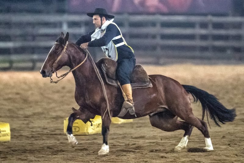 Marcos Silveira venceu a Prova Um Ano de Freio 2019, com 12,306 pontos, e também ganhou o troféu de Domador do Ano, cuja premiação ocorrerá durante a Expointer. Ele conduziu a égua Santa Augusta Madrecita.
