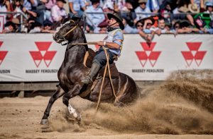 Freio de Ouro 2019 fecha ciclo e revela vencedores do ano