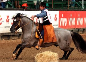 Feriado de Santa Edwiges (Foto JG Martini)