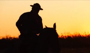 Programa Cavalo Crioulo sem Fronteiras do dia 10 de agosto