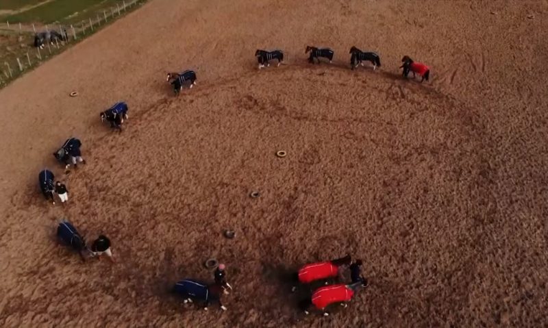 Programa Cavalo Crioulo sem Fronteiras do dia 24 de agosto