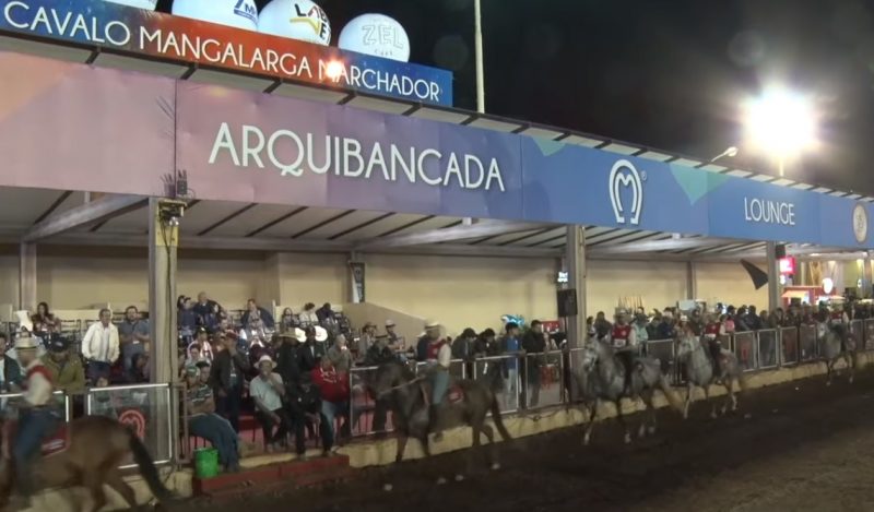 Mangalarga Marchador TV - Programa 518