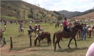 Programa Mangalarga Marchador TV 519