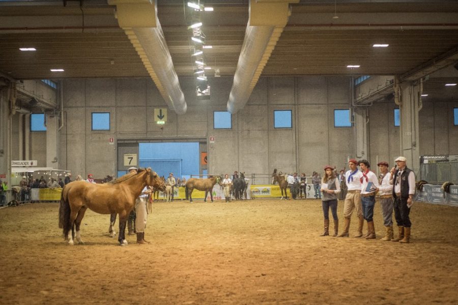 Fieracavalli 2018 - Crédito Fagner Almeida ABCCC