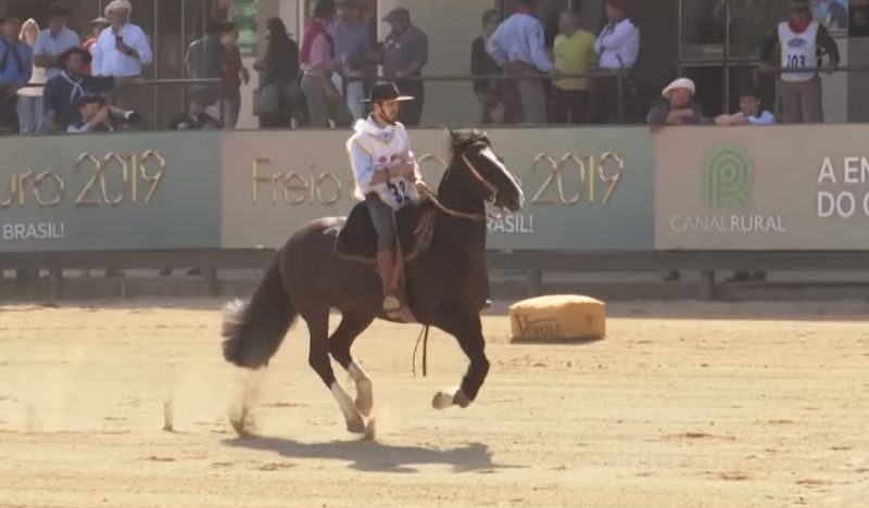 Programa Cavalo Crioulo sem Fronteiras do dia 05 de outubro de 2019