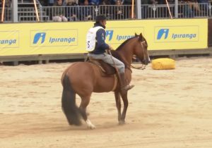 Programa Cavalo Crioulo sem Fronteiras do dia 26 de outubro de 2019