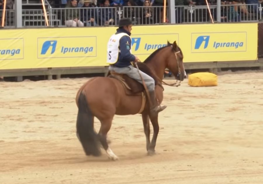 Programa Cavalo Crioulo sem Fronteiras do dia 26 de outubro de 2019