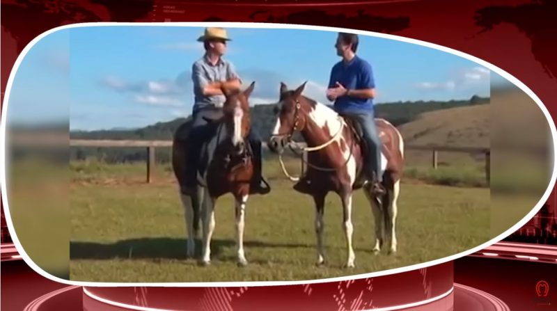 Programa Mangalarga Marchador 522
