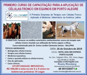 Tratamento com células-tronco resulta na eficiência dos equinos