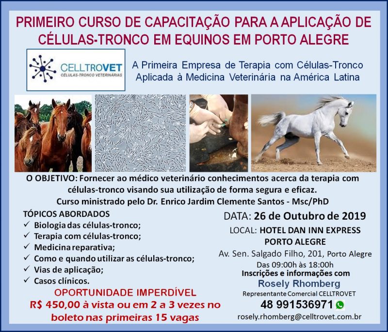 Tratamento com células-tronco resulta na eficiência dos equinos