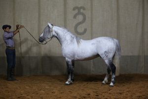 Capanegra Trapezio (Foto JG Martini)