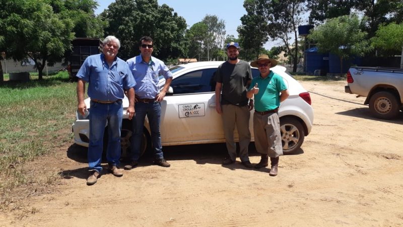 Gira Técnica ABCCC - Crédito ABCCC