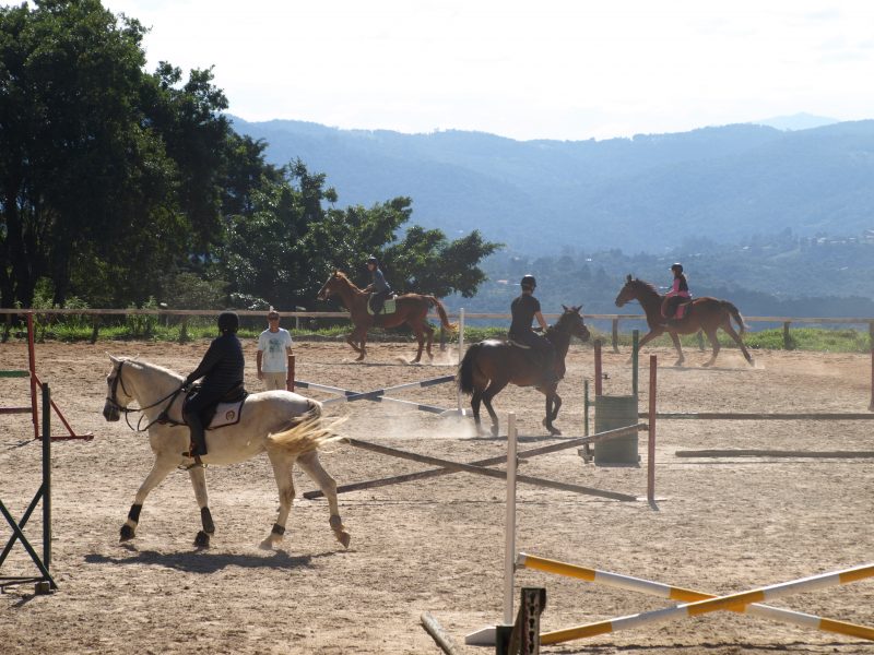 Aulas de equitação