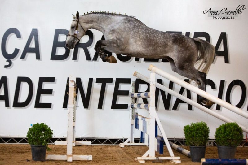 catira competition