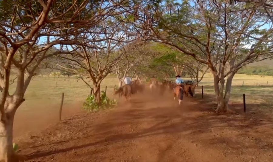 Programa Cavalo Crioulo sem Fronteiras do dia 14 de dezembro de 2019